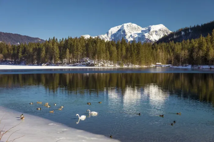 Framed Print : Hintersee above Ramsau, Upper Bavaria, Bavaria, Germany