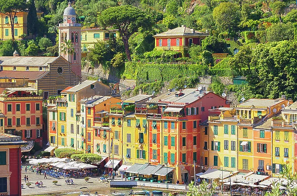 Historic district, top view, Portofino, Liguria, Italy