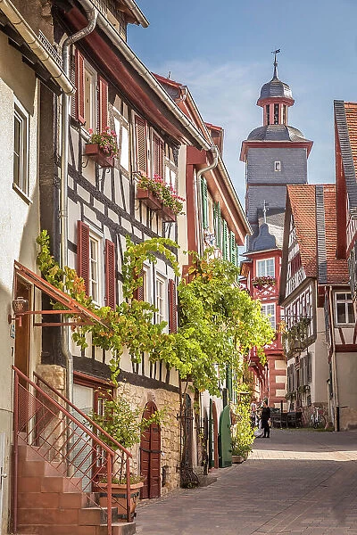 Historic half-timbered houses in the old town of Heppenheim, southern Hesse, Hesse, Germany
