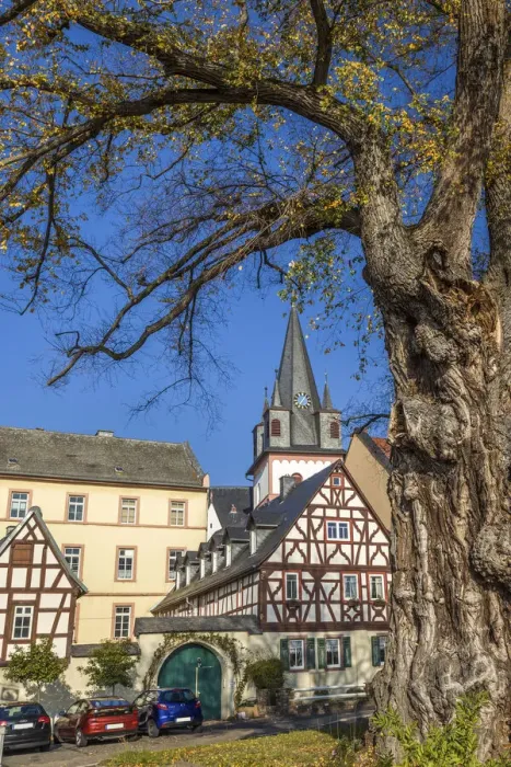 Framed Print : Historic half-timbered houses on the promenade of Oestrich, Rheingau, Hesse, Germany Framed Print : Historic half-timbered houses on the promenade of Oestrich, Rheingau, Hesse, Germany
