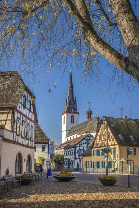 Framed Print : Historic half-timbered houses in the wine village of Hattenheim, Rheingau, Hesse, Germany Framed Print : Historic half-timbered houses in the wine village of Hattenheim, Rheingau, Hesse, Germany
