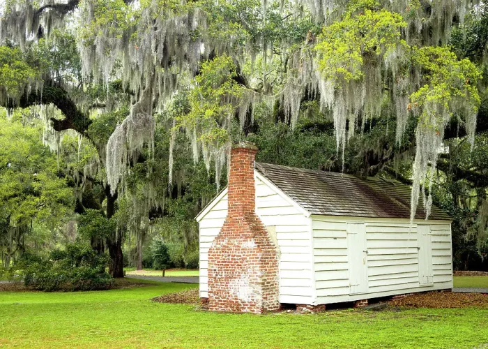 Framed Print : Historic Slave Quarters, Mc Leod Plantation and Live Oak Trees with Spanish Moss, Charleston, South Carolina, USA Framed Print : Historic Slave Quarters, Mc Leod Plantation and Live Oak Trees with Spanish Moss, Charleston, South Carolina, USA