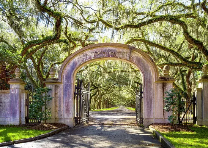 Framed Print : Historic Wormsloe Plantation Entrance Savannah, Georgia, USA Framed Print : Historic Wormsloe Plantation Entrance Savannah, Georgia, USA