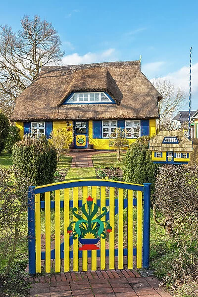 Historical brightly painted thatched roof house in Born am Darsz, Mecklenburg-Western Pomerania, Baltic Sea, Northern Germany, Germany