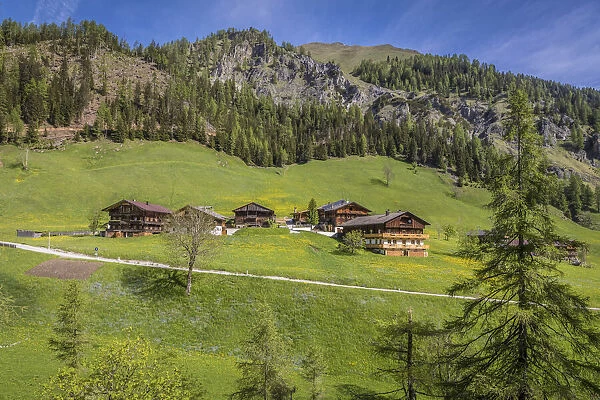 Historical mountain farms in Kalkstein in Villgratental, East Tyrol, Tyrol, Austria