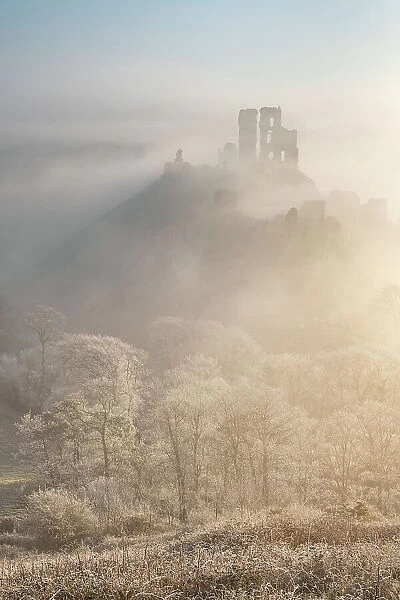 Hoar Frost and freezing fog at Corfe Castle in the Purbeck Hills, Dorset, England. Winter (February) 2023