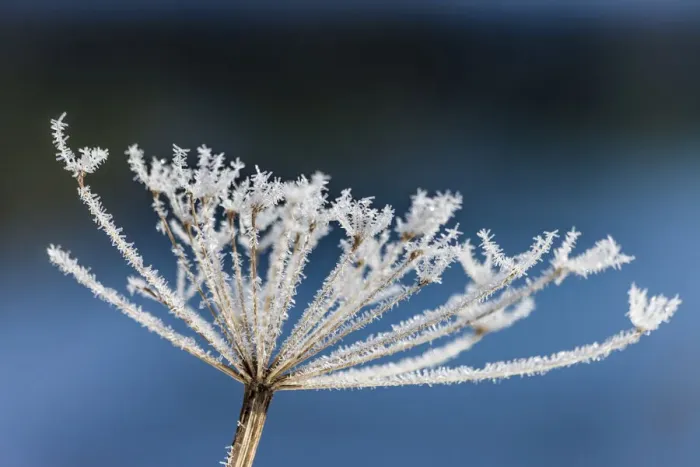 Framed Print : Hoar frost on the Hintersee above Ramsau, Upper Bavaria, Bavaria, Germany Framed Print : Hoar frost on the Hintersee above Ramsau, Upper Bavaria, Bavaria, Germany