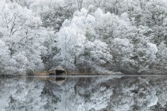 Framed Print : Hoar Frost reflected in Loch Ard, Loch Lommond and the Trossachs National Park, Stirlingshire, Scotland, UK, December 2024 Framed Print : Hoar Frost reflected in Loch Ard, Loch Lommond and the Trossachs National Park, Stirlingshire, Scotland, UK, December 2024