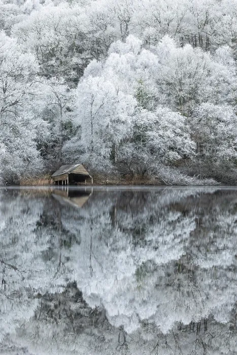 Framed Print : Hoar Frost reflected in Loch Ard, Loch Lommond and the Trossachs National Park, Stirlingshire, Scotland, UK, December 2024 Framed Print : Hoar Frost reflected in Loch Ard, Loch Lommond and the Trossachs National Park, Stirlingshire, Scotland, UK, December 2024