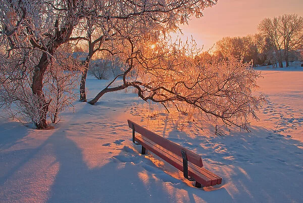 Hoarfrost at sunrise with bench by the pond. Southdale neighbourhood., Winnipeg, Manitoba, Canada