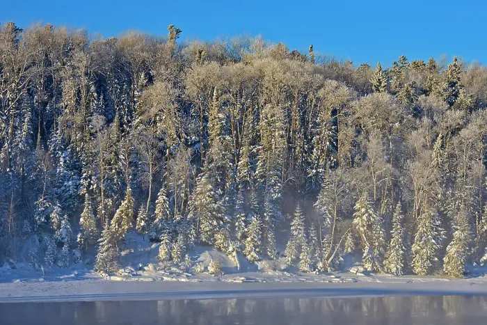 Framed Print : Hoarfrost on trees. Lac Seul Ear Falls, Ontario, Canada