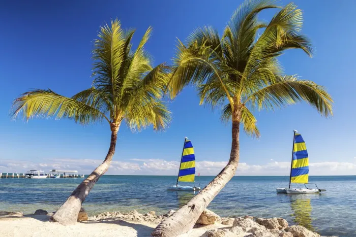 Framed Print : Hobie Cats & Palm Trees, Islamorada, Florida Keys, USA Framed Print : Hobie Cats & Palm Trees, Islamorada, Florida Keys, USA
