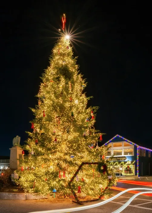 Framed Print : Holiday tree with lights, Kennebunkport, Maine, USA Framed Print : Holiday tree with lights, Kennebunkport, Maine, USA