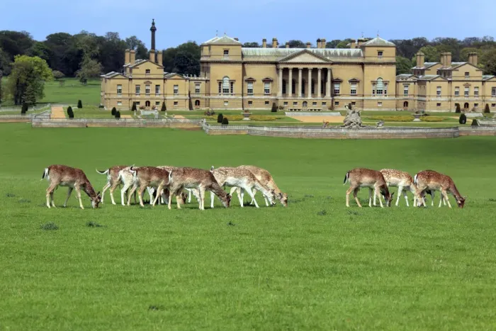 Framed Print : Holkham Hall, Norfolk, England, UK