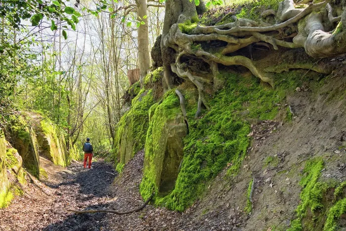 Framed Print : A holloway (sunken lane) in Kent, England
