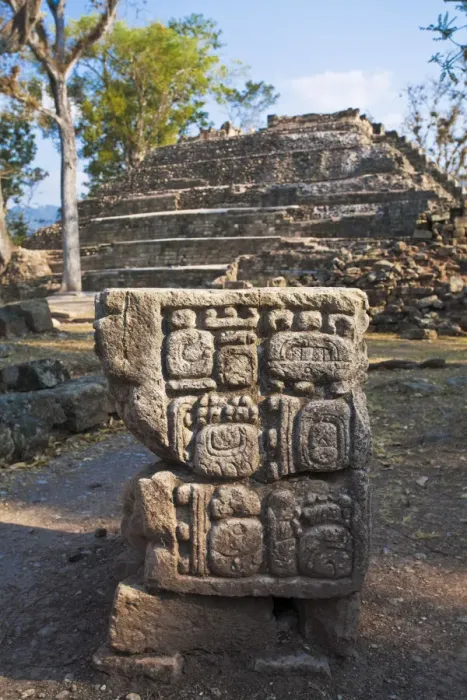 Framed Print : Honduras, Copan Ruinas, Copan Ruins Framed Print : Honduras, Copan Ruinas, Copan Ruins