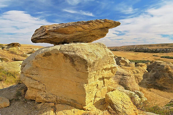 Hoodoo with cap intact in badlands, UNESCO World Heritage Site, Writing-On-Stone Provincial Park, Alberta, Canada