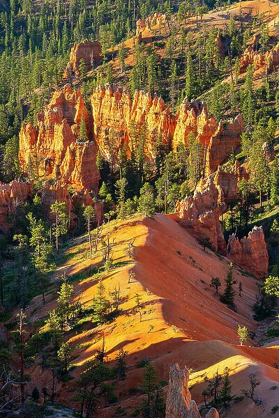 Hoodoos in Bryce Canyon, Sunrise Point, Bryce Canyon National Park, Utah, USA