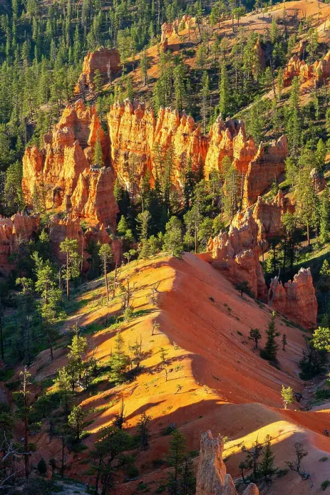Framed Print : Hoodoos in Bryce Canyon, Sunrise Point, Bryce Canyon National Park, Utah, USA Framed Print : Hoodoos in Bryce Canyon, Sunrise Point, Bryce Canyon National Park, Utah, USA