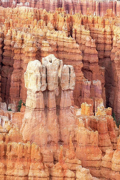 Detail of hoodoos, Inspiration Point, Bryce Canyon National Park, Utah, USA