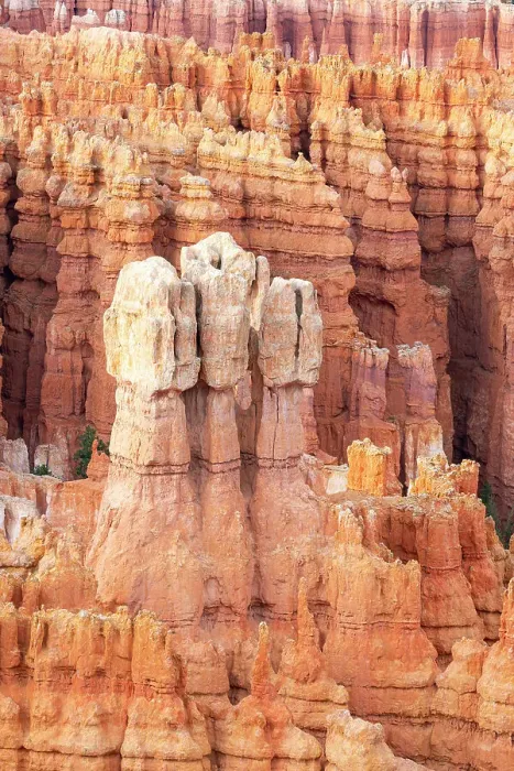 Framed Print : Detail of hoodoos, Inspiration Point, Bryce Canyon National Park, Utah, USA Framed Print : Detail of hoodoos, Inspiration Point, Bryce Canyon National Park, Utah, USA