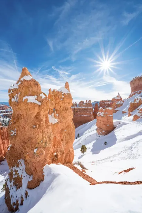 Framed Print : Hoodoos from Navajo Loop Trail, Bryce Canyon National Park, Utah, USA Framed Print : Hoodoos from Navajo Loop Trail, Bryce Canyon National Park, Utah, USA