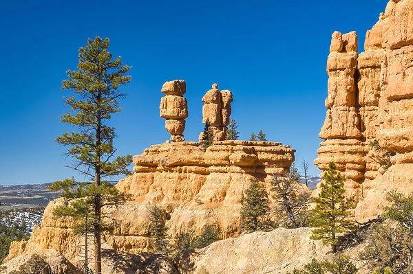 Hoodoos in Red Canyon, Dixie National Forest, Utah, USA