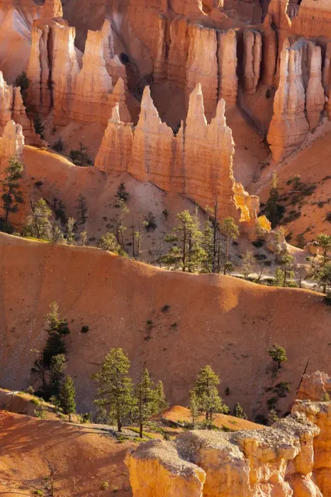 Framed Print : Detail of hoodoos and trees, Sunset Point, Bryce Canyon National Park, Utah, USA Framed Print : Detail of hoodoos and trees, Sunset Point, Bryce Canyon National Park, Utah, USA