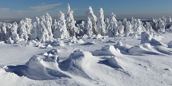 Hornisgrinde mountain in winter, Black Forest, Baden-Wurttemberg, Germany