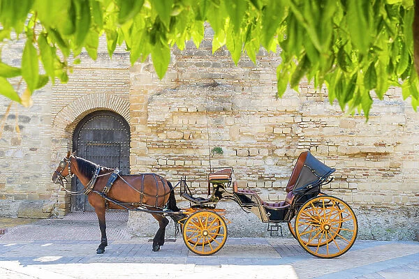 Horse carriage outside the Alcazar de Jerez, Jerez de la Frontera, Andalusia, Spain