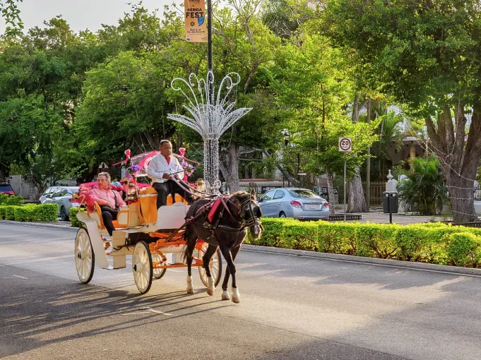Framed Print : Horse-drawn Carriage at the Paseo de Montejo, Merida, Yucatan State, Mexico Framed Print : Horse-drawn Carriage at the Paseo de Montejo, Merida, Yucatan State, Mexico