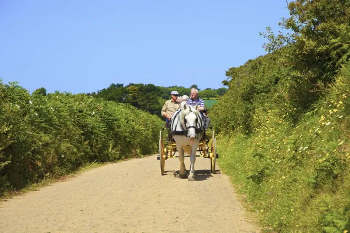 Framed Print : Horse Drawn Carriage, Sark, Channel Islands, United Kingdom Framed Print : Horse Drawn Carriage, Sark, Channel Islands, United Kingdom