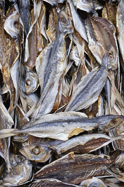 Horse mackerel drying in the sun. Ericeira, Portugal