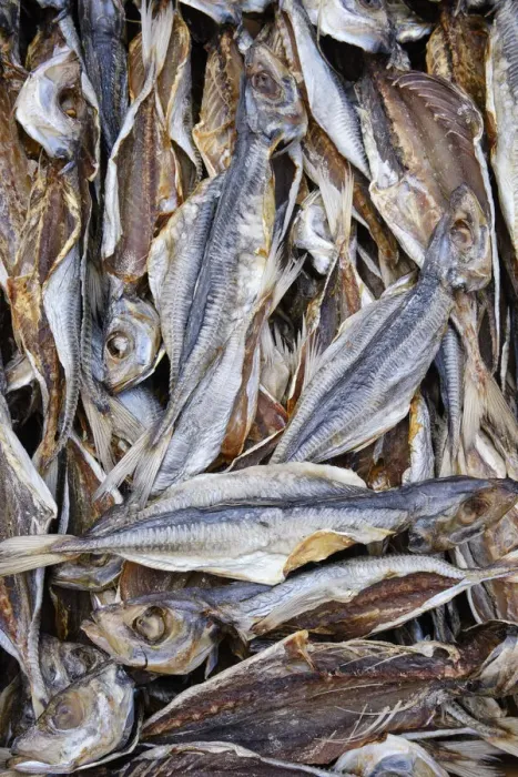 Framed Print : Horse mackerel drying in the sun. Ericeira, Portugal Framed Print : Horse mackerel drying in the sun. Ericeira, Portugal