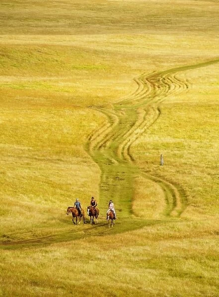 Horse Ride up the Maunga Terevaka, Easter Island, Chile