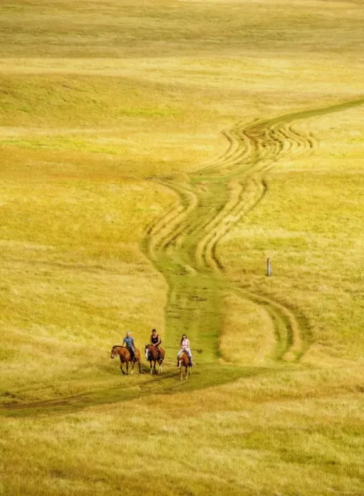 Framed Print : Horse Ride up the Maunga Terevaka, Easter Island, Chile