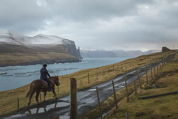 Horse and rider riding along the fjords, Miðvagur, Vagar, Faroe Islands