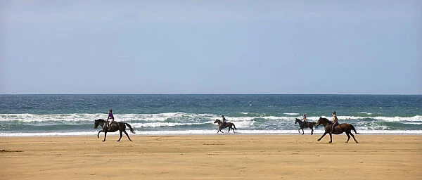 Horse riders galloping down sandy Cornish beach on a summers day, Sandymouth