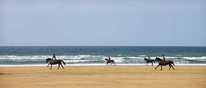 Framed Print : Horse riders galloping down sandy Cornish beach on a summers day, Sandymouth Framed Print : Horse riders galloping down sandy Cornish beach on a summers day, Sandymouth