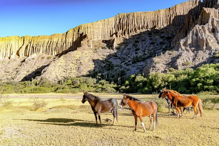 Framed Print : Horses on grass near geologic formations, Tumbaya, Jujuy, Argentina Framed Print : Horses on grass near geologic formations, Tumbaya, Jujuy, Argentina