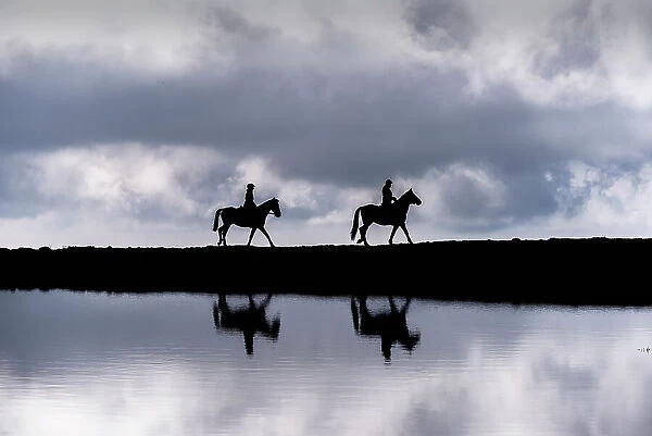 Horses in silhouette near the alpine lakes in Brescia prealpi, Brescia province in Lombardy district, Italy