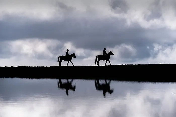 Framed Print : Horses in silhouette near the alpine lakes in Brescia prealpi, Brescia province in Lombardy district, Italy Framed Print : Horses in silhouette near the alpine lakes in Brescia prealpi, Brescia province in Lombardy district, Italy
