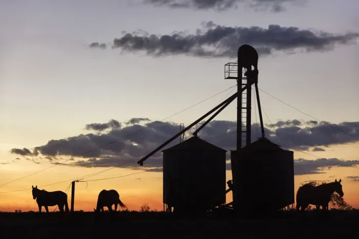 Framed Print : Horses and silos of the Estancia La Violeta Polo Club at sunset, Chajari, Entre Rios, Argentina