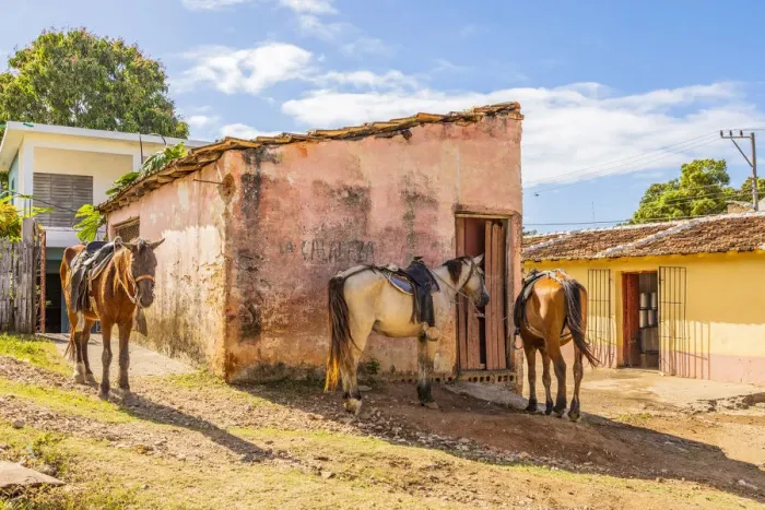 Framed Print : Horses in a street in Trinidad, Sancti Spiritus, Cuba