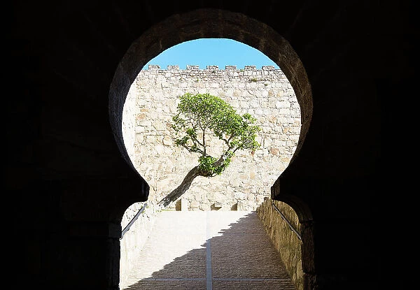 Horseshoe shape arch framing the tree at the entrance gate of Castillo de Trujillo (Trujillo Castle), Extremadura, Caceres, Spain