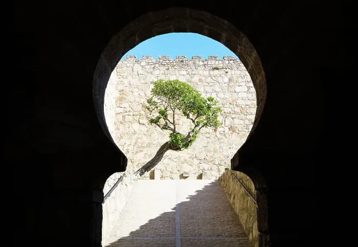 Framed Print : Horseshoe shape arch framing the tree at the entrance gate of Castillo de Trujillo (Trujillo Castle), Extremadura, Caceres, Spain Framed Print : Horseshoe shape arch framing the tree at the entrance gate of Castillo de Trujillo (Trujillo Castle), Extremadura, Caceres, Spain