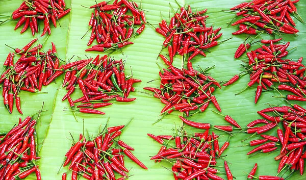 Hot chili peppers, Kyaing Tong market, Burma (Myanmar)