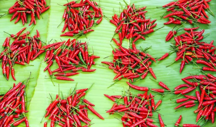 Framed Print : Hot chili peppers, Kyaing Tong market, Burma (Myanmar) Framed Print : Hot chili peppers, Kyaing Tong market, Burma (Myanmar)