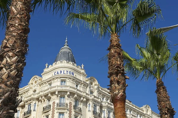 Hotel Carlton, Cannes, Cote da'Azur, Provence-Alpes-Cote d Azur, France