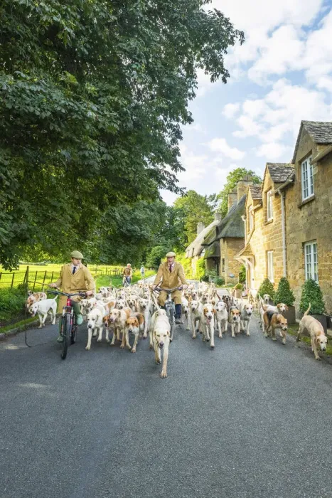Framed Print : Hounds, Broadway, the Cotswolds, England, UK